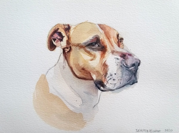 Lola