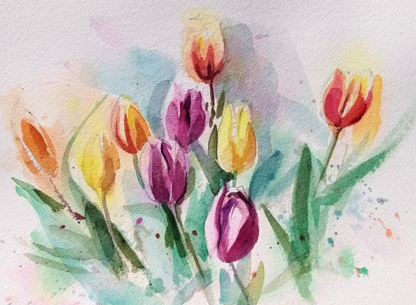 Tulips