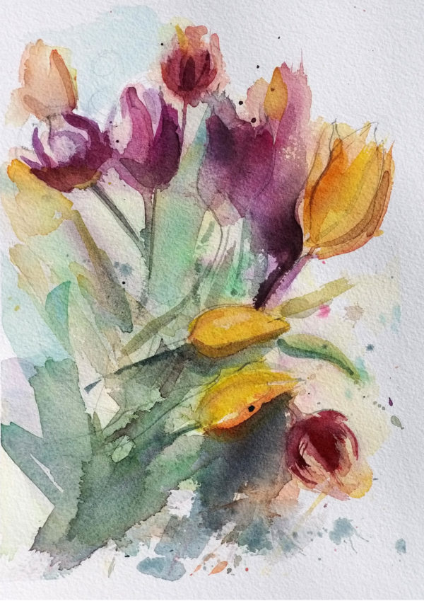 Tulips